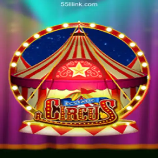 55LL.COM platform-online Slots Brasil #1 Online Bingo